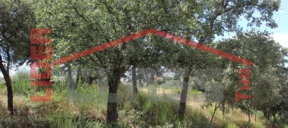 10360m² Land in Mirandela, Portugal No. 221220 6