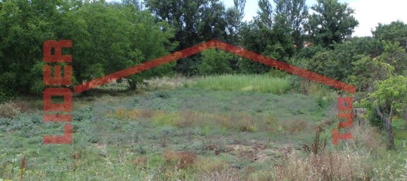 10360m² Land in Mirandela, Portugal No. 221220 5