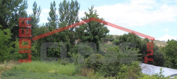 10360m² Land in Mirandela, Portugal No. 221220 8