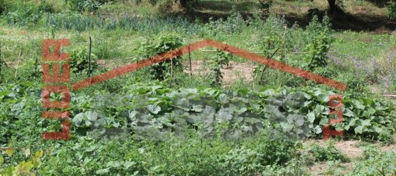 10360m² Land in Mirandela, Portugal No. 221220 2