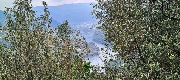 2 bedrooms House in Louredo, Portugal No. 31730 28