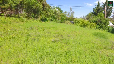 Terrain à Klosterneuburg, Austria No. 215374