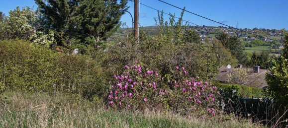 Terrain à Klosterneuburg, Austria No. 215374 3