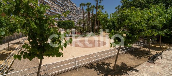 Квартира с 3 спальнями в Аликанте, Испания № 152294 28