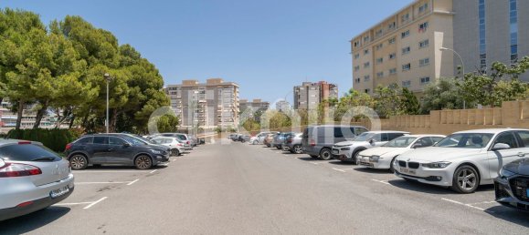 Квартира с 3 спальнями в Аликанте, Испания № 152294 31