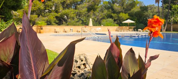 3 bedrooms Apartment in Mallorca, Spain No. 165257 17