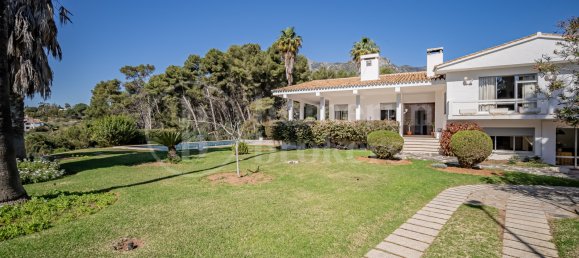 7 bedrooms Villa in Marbella, Spain No. 271631 12