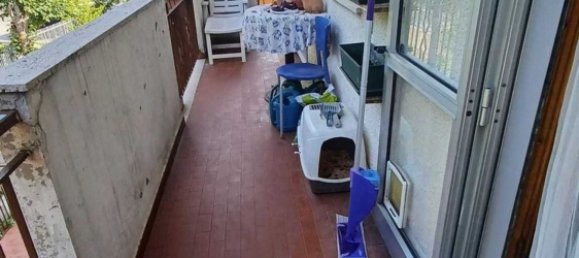 3-Zimmer Wohnung in Monte Grimano Terme, Italy, Nr. 228528 10