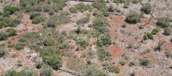  Land in Sao Bartolomeu de Messines, Portugal No. 51280 14