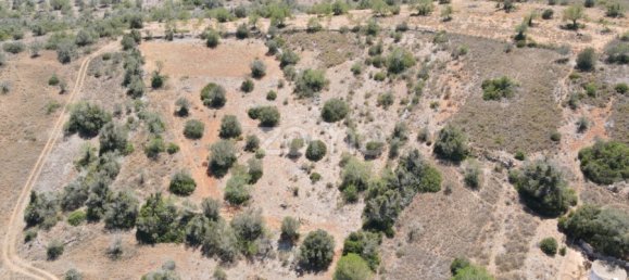  Land in Sao Bartolomeu de Messines, Portugal No. 51280 3