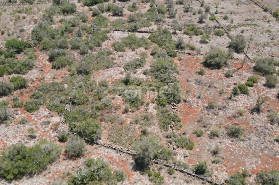  Land in Sao Bartolomeu de Messines, Portugal No. 51280