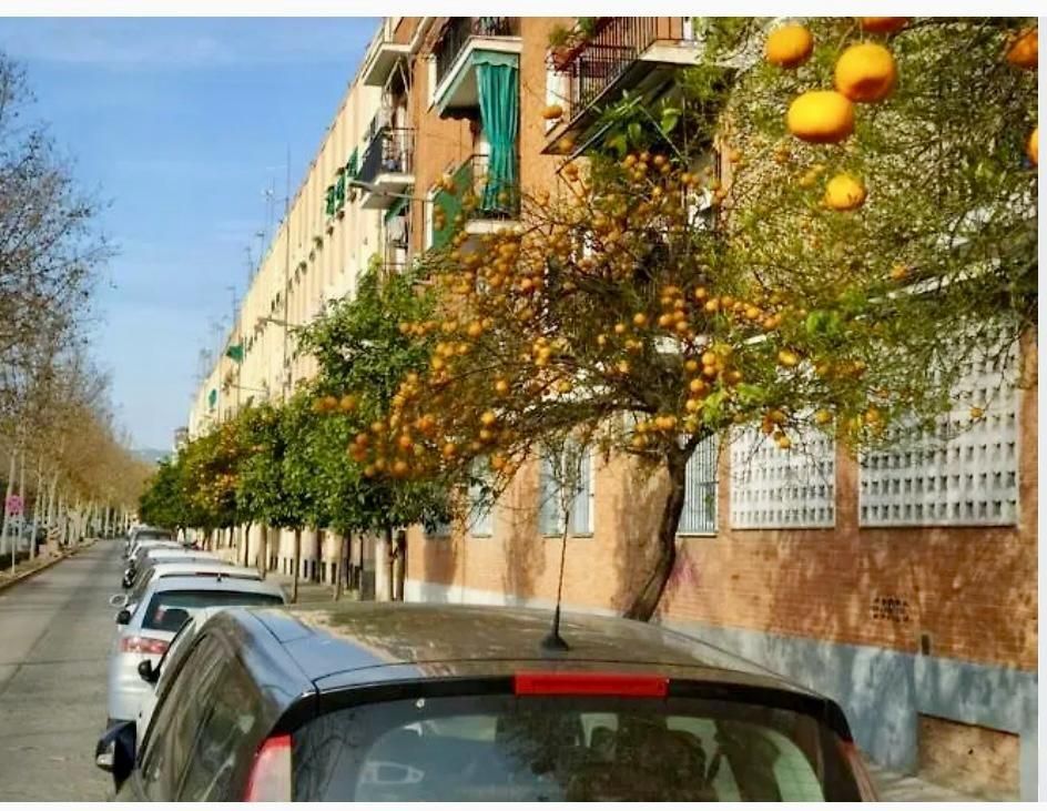 373m² Building in Cordoba, Spain No. 80438