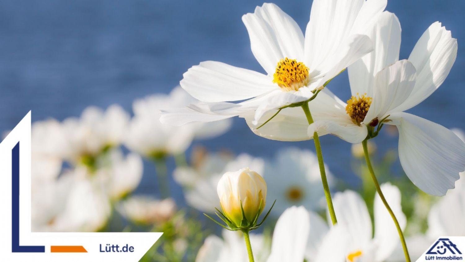 Terrain à Rendsburg-Eckernforde, Germany No. 295704