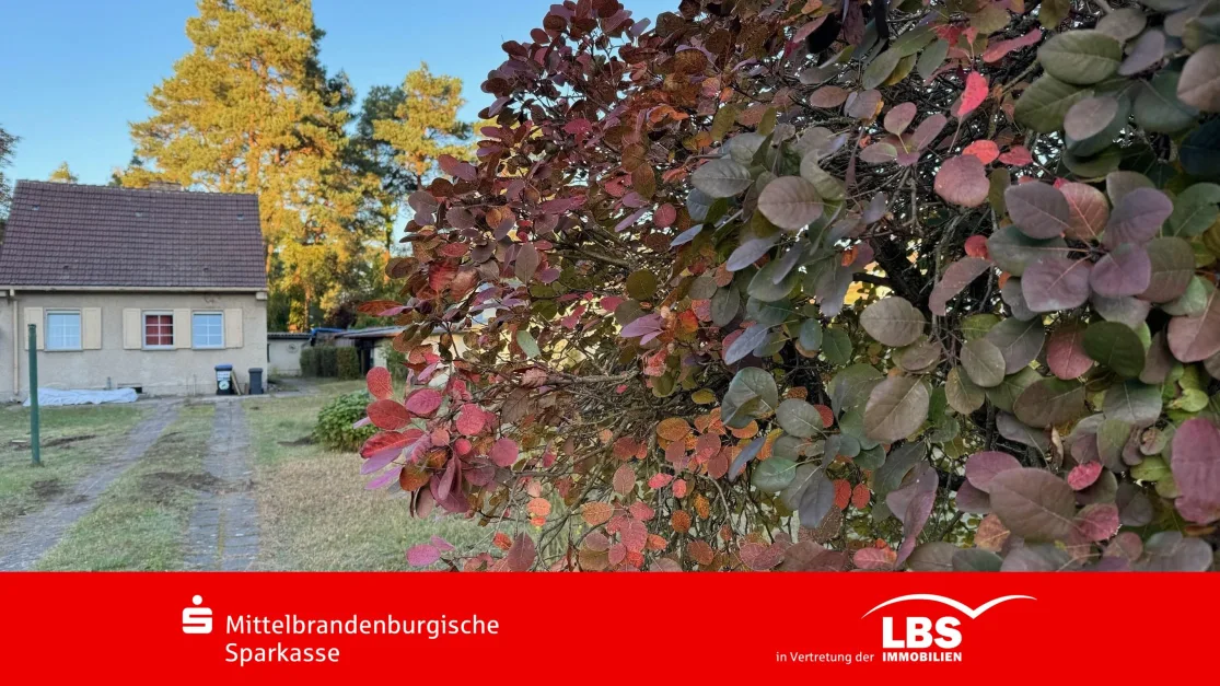 3 bedrooms House in Oberhavel, Germany No. 42007