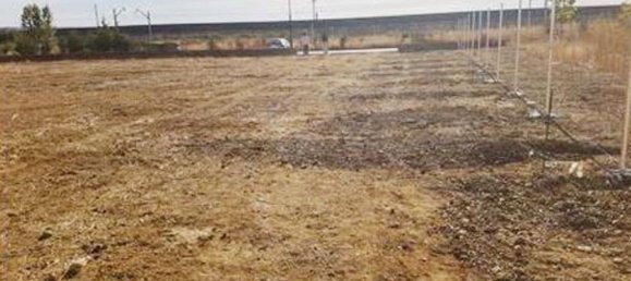 Terreno en Grijota, Spain 11455 m² No. 75060 4