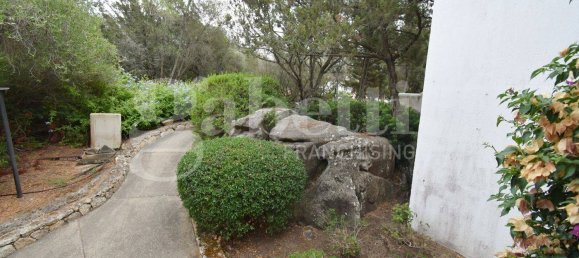 1 chambre Appartement à Olbia, Italy No. 294052 7