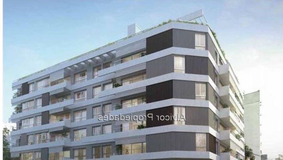 استوديو في Montevideo, Uruguay رقم 142