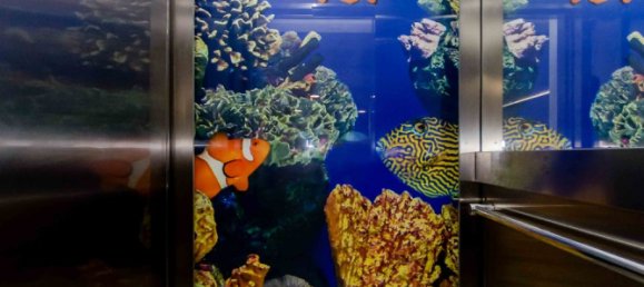 3 bedrooms Villa in Campoamor, Spain No. 9072 30