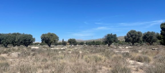 Terreno en El Campello, Spain 4574 m² No. 132560 10