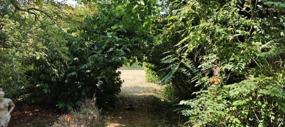 5 bedrooms House in Occitanie, France No. 336072 18