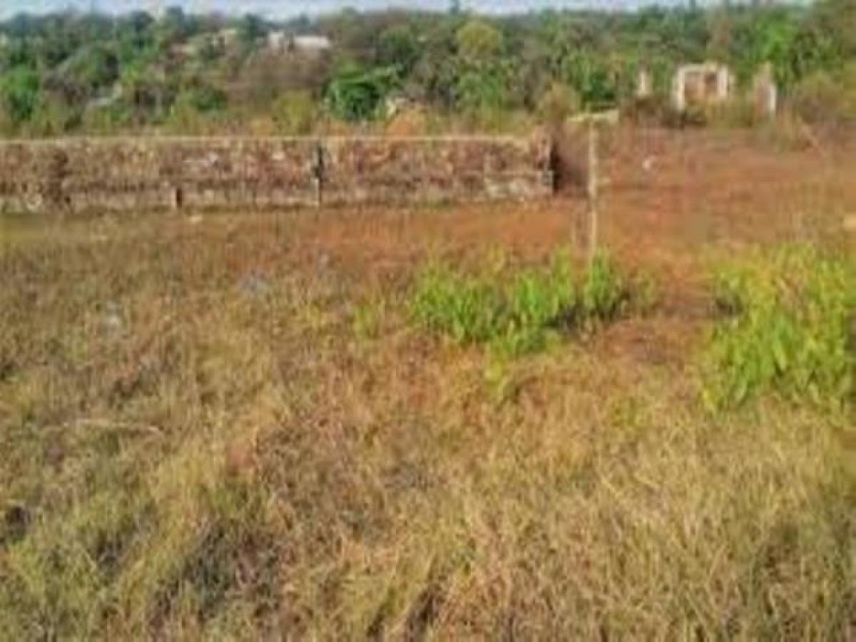 Terrain à Mumbai, India No. 36669