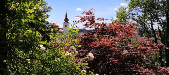 6غرفة منزل في Friedberg, Austria رقم 251550 3