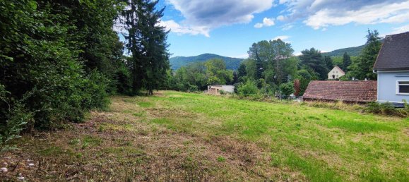 1019m² Land in Neunkirchen, Austria No. 190540 6