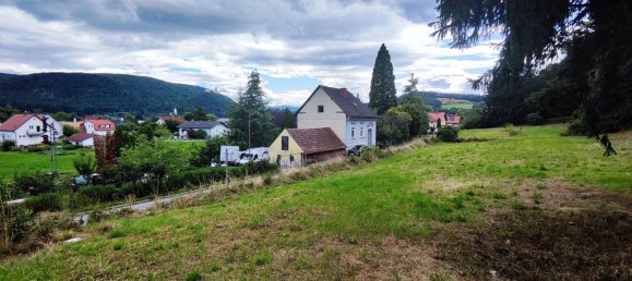 1019m² Land in Neunkirchen, Austria No. 190540 2