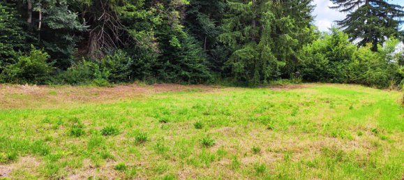 1019m² Land in Neunkirchen, Austria No. 190540 7