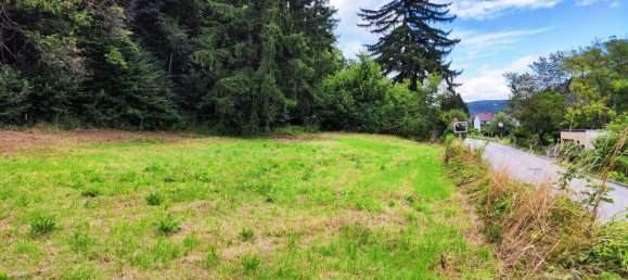 1019m² Land in Neunkirchen, Austria No. 190540 5