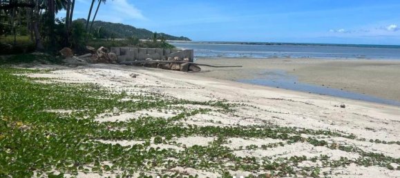 Коммерческая недвижимость в Самуй, Таиланд № 16754 5