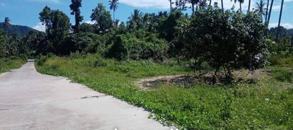 Коммерческая недвижимость в Самуй, Таиланд № 16754 3