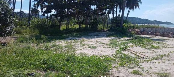 Коммерческая недвижимость в Самуй, Таиланд № 16754 4