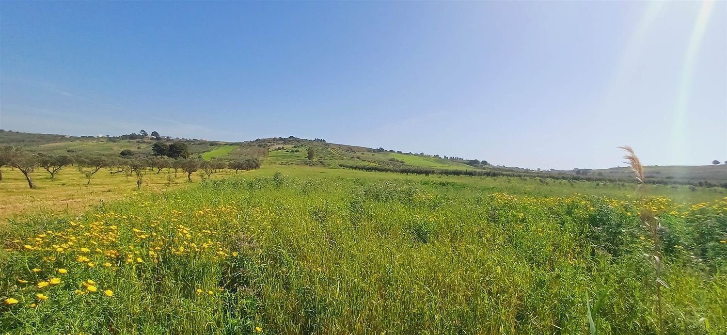  Land in Sciacca, Italy No. 403776