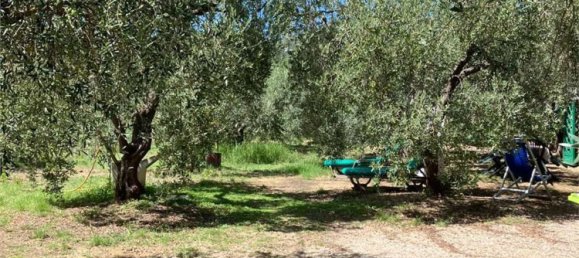 17 bedrooms Villa in Capoliveri, Italy No. 336240 10