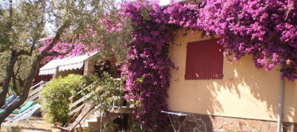 17 bedrooms Villa in Capoliveri, Italy No. 336240 9