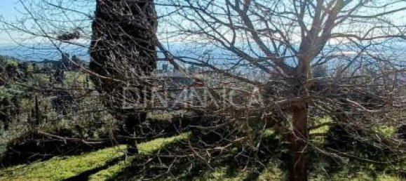 9-salle Maison à Vinci, Italy No. 238314 48