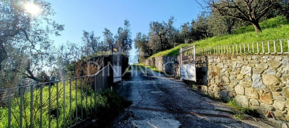 9-salle Maison à Vinci, Italy No. 238314 6