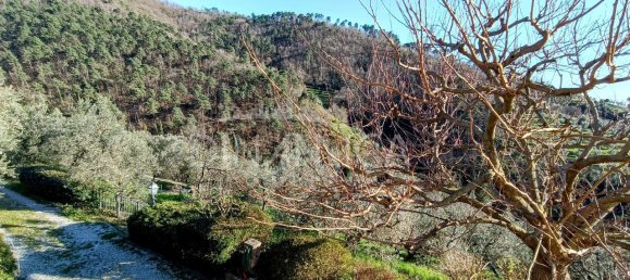 9-salle Maison à Vinci, Italy No. 238314 36