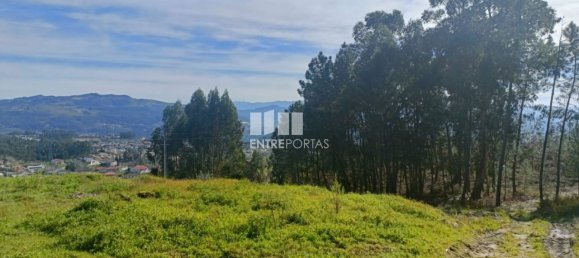 12500m² Land in Penafiel, Portugal No. 63931 8