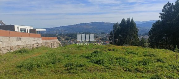12500m² Land in Penafiel, Portugal No. 63931 4