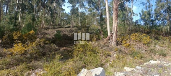 12500m² Land in Penafiel, Portugal No. 63931 2