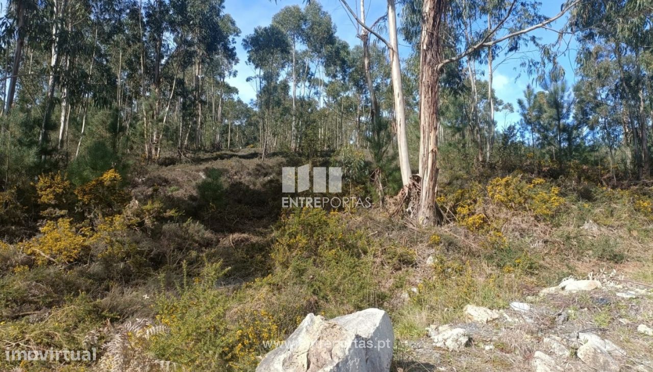 12500m² Land in Penafiel, Portugal No. 63931