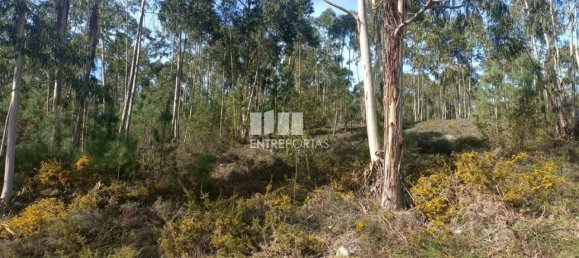 12500m² Land in Penafiel, Portugal No. 63931 7