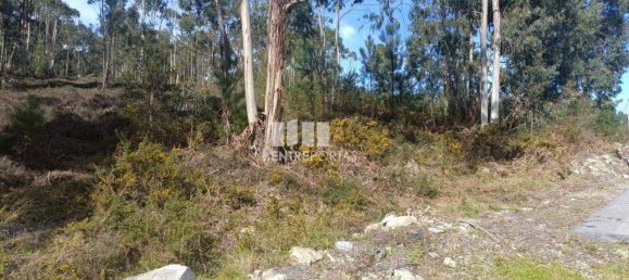 12500m² Land in Penafiel, Portugal No. 63931 6