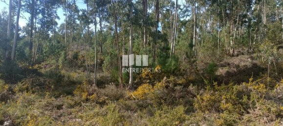 12500m² Land in Penafiel, Portugal No. 63931 11