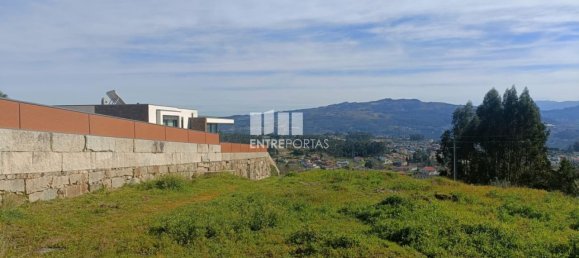 12500m² Land in Penafiel, Portugal No. 63931 9