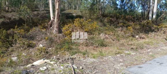 12500m² Land in Penafiel, Portugal No. 63931 10