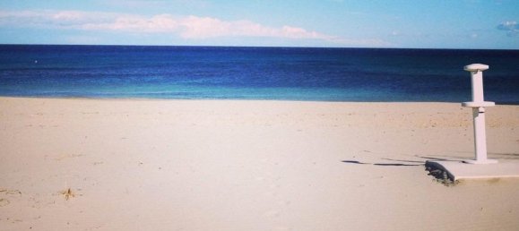 Bungalow T2 em Pilar de la Horadada, Spain N.º 287532 10