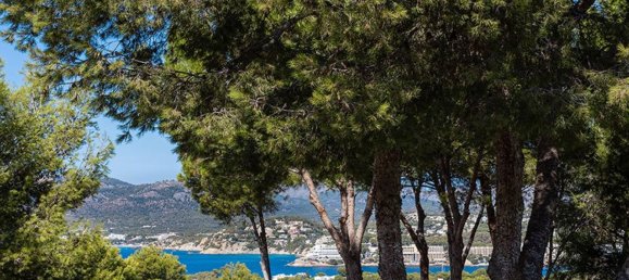 4 bedrooms Villa in Nova Santa Ponsa, Spain No. 155383 16